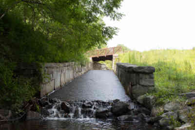 📷 Bridge near Sims Pond