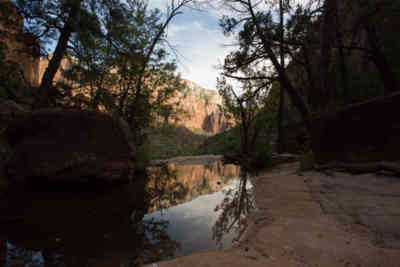 📷 Zion National Park reflection