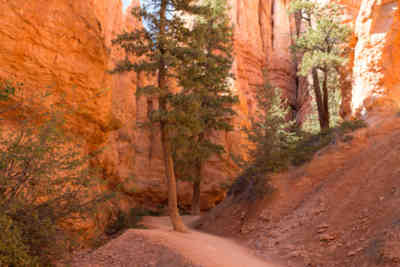 📷 Navajo Loop Trail