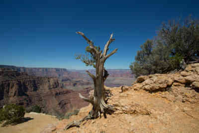 📷 Grand Canyon National Park