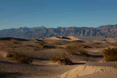 📷 Mesquite Flat Sand Dunes