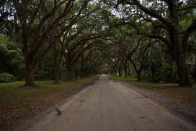 📷 Wormsloe