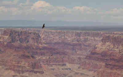 📷 Grand Canyon National Park