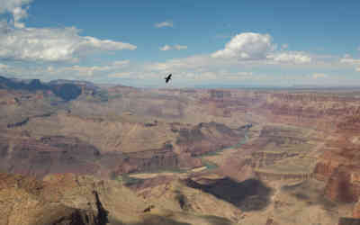 📷 Grand Canyon National Park