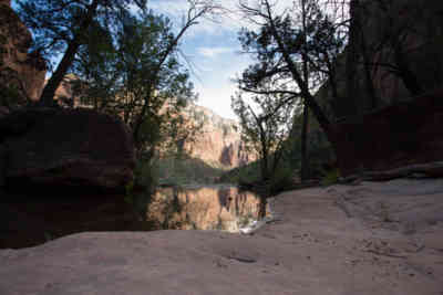 📷 Zion National Park reflection