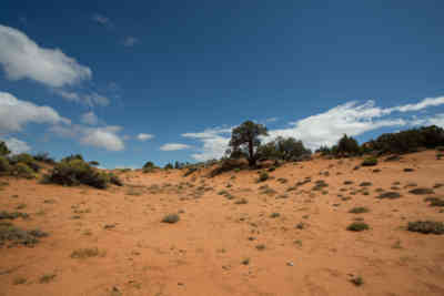 📷 Kanab, Utah