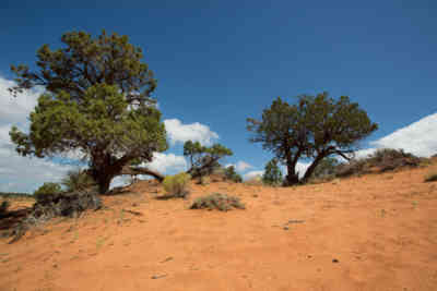 📷 Kanab, Utah