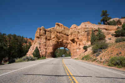 📷 Dixie National Forest