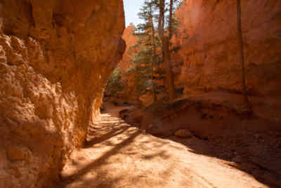 📷 Navajo Loop Trail