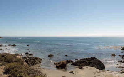 📷 Elephant Seal Vista Point