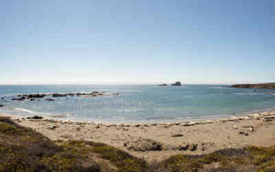 📷 Elephant Seal Vista Point