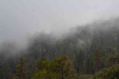 📷 Redwood Mountain Overlook