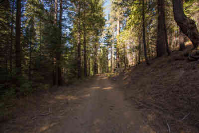 📷 Sequoia National Forest