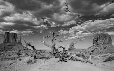 📷 Oljatu monument valley