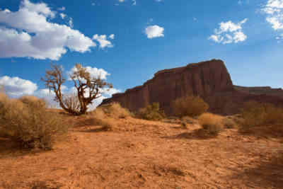 📷 Oljatu monument valley