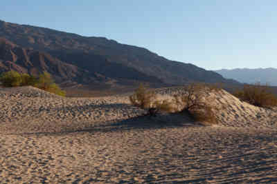 📷 Mesquite Flat Sand Dunes