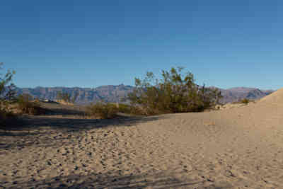 📷 Mesquite Flat Sand Dunes