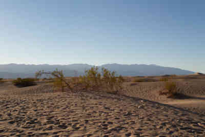 📷 Mesquite Flat Sand Dunes