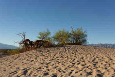 📷 Mesquite Flat Sand Dunes