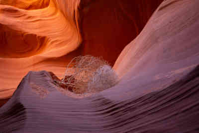 📷 lower antelope canyon