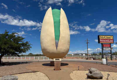 📷 World's Largest Pistachio