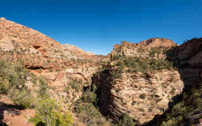 📷 Zion National Park Panorama