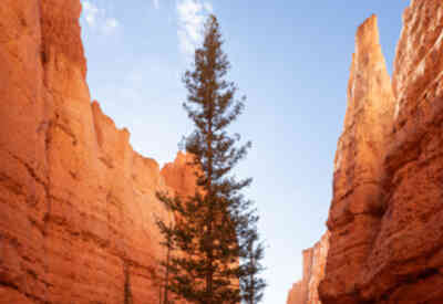 📷 Navajo Loop Trail