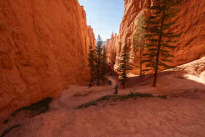 📷 Navajo Loop Trail