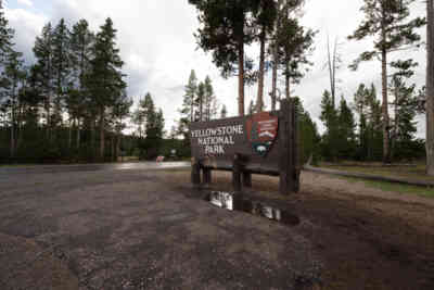 📷 Yellowstone National Park
