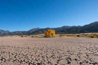 📷 Great Sand Dunes National Park and Preserve