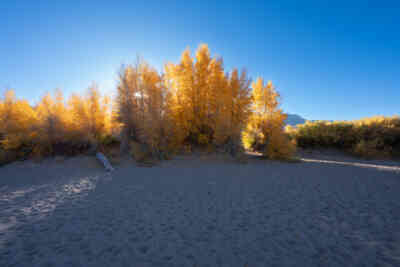 📷 Great Sand Dunes National Park and Preserve