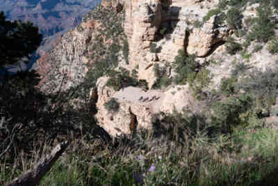 📷 Grand Canyon National Park