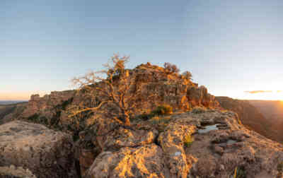 📷 Grand Canyon National Park Panorama