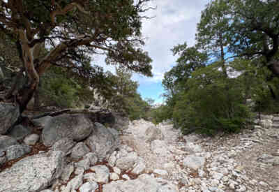 📷 Guadalupe Mountains National Park