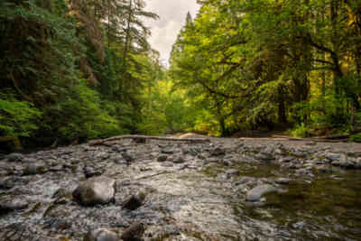 📷 Olympic National Park