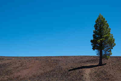 📷 Lassen Volcanic National Park