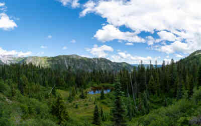 📷 Mount Rainier National Park Panorama