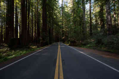 📷 Redwood National and State Parks