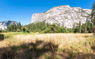 📷 Yosemite National Park Panorama