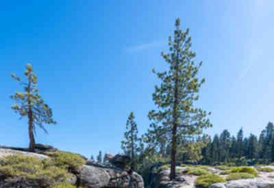 📷 Taft Point Fissures