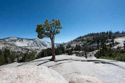 📷 Olmsted Point