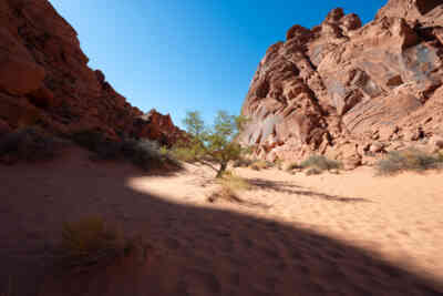 📷 Valley of Fire State Park