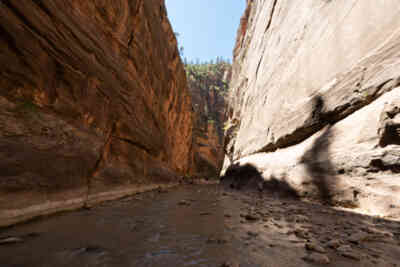 📷 Zion Narrows