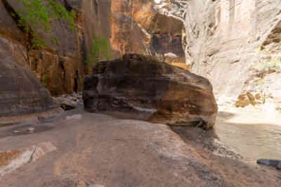 📷 Zion National Park