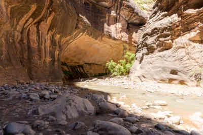 📷 Zion Narrows