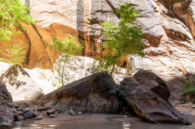 📷 Zion Narrows