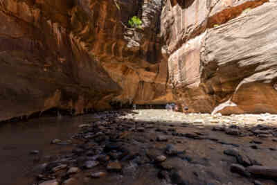 📷 Zion Narrows