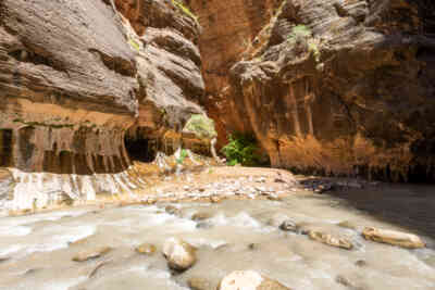 📷 Zion Narrows
