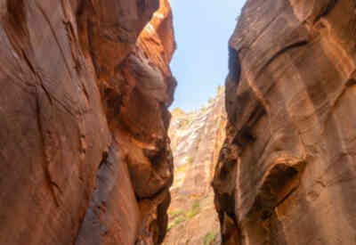 📷 Zion Narrows