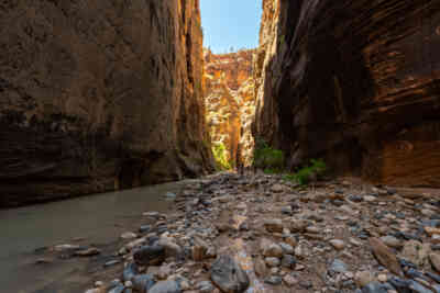 📷 Zion Narrows